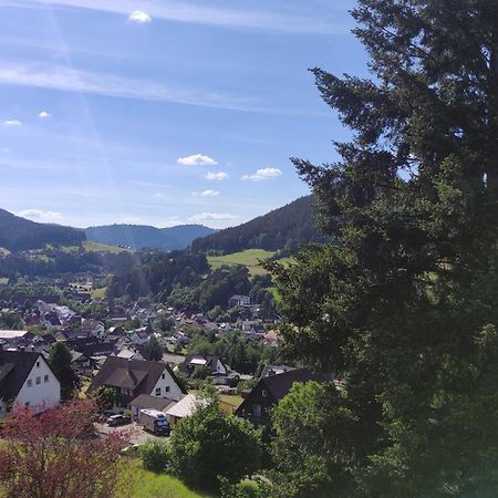 Traumblick Fewo Mit Pool Baiersbronn Buitenkant foto