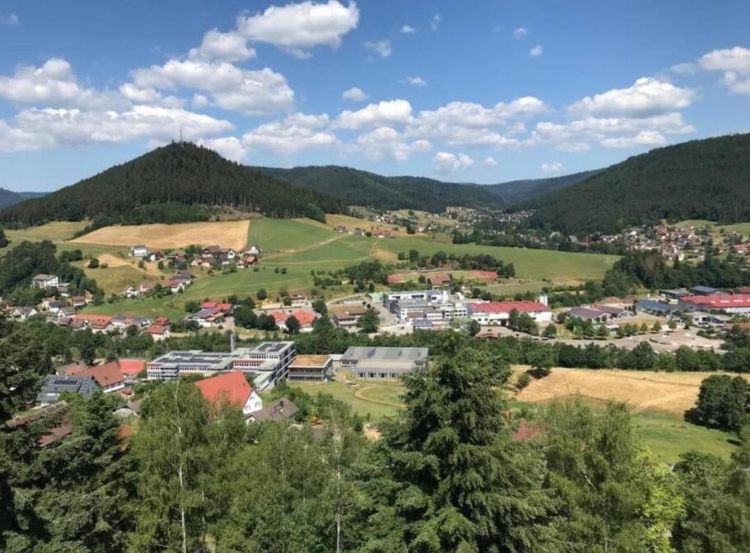 Traumblick Fewo Mit Pool Baiersbronn Buitenkant foto