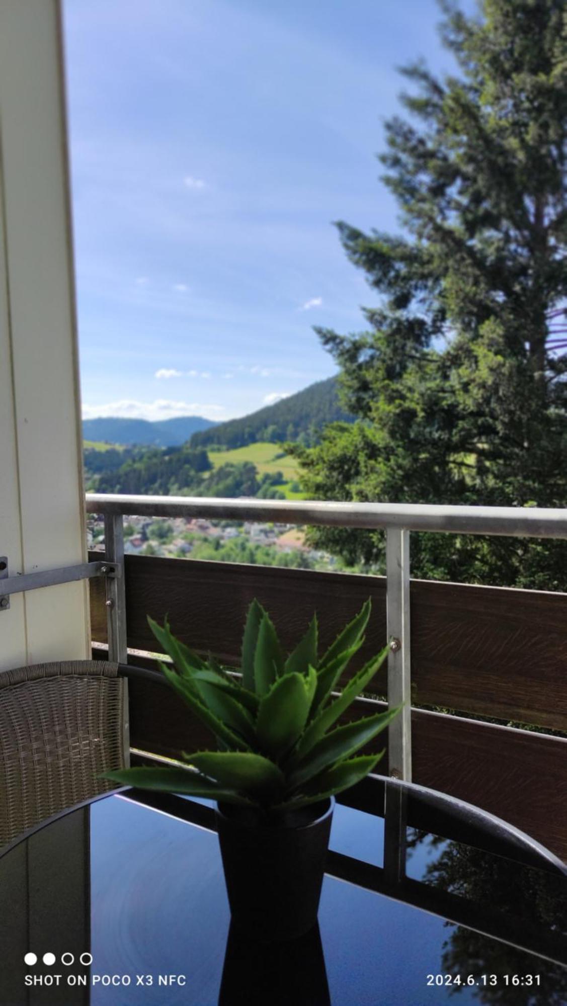 Traumblick Fewo Mit Pool Baiersbronn Buitenkant foto