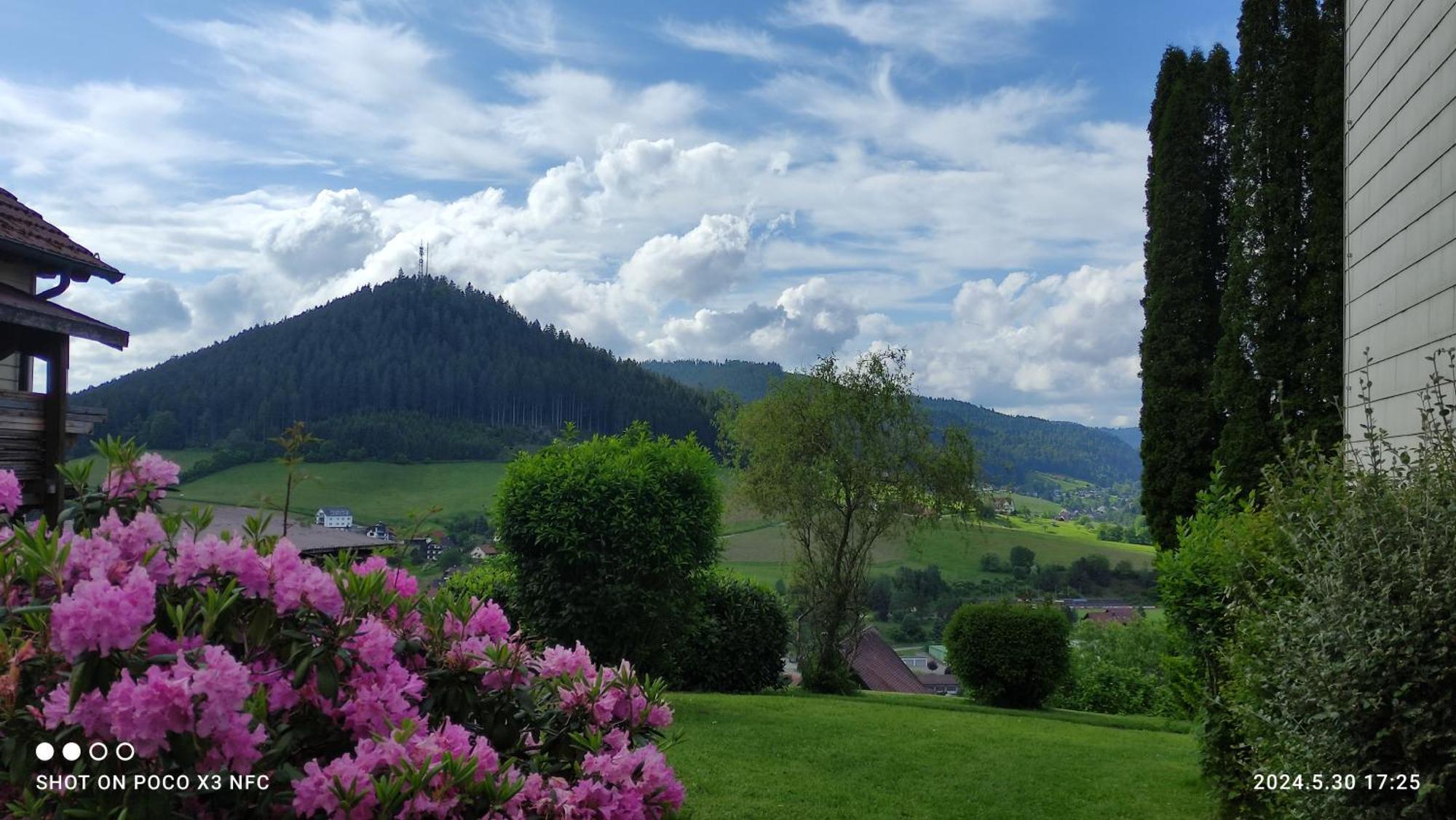 Traumblick Fewo Mit Pool Baiersbronn Buitenkant foto