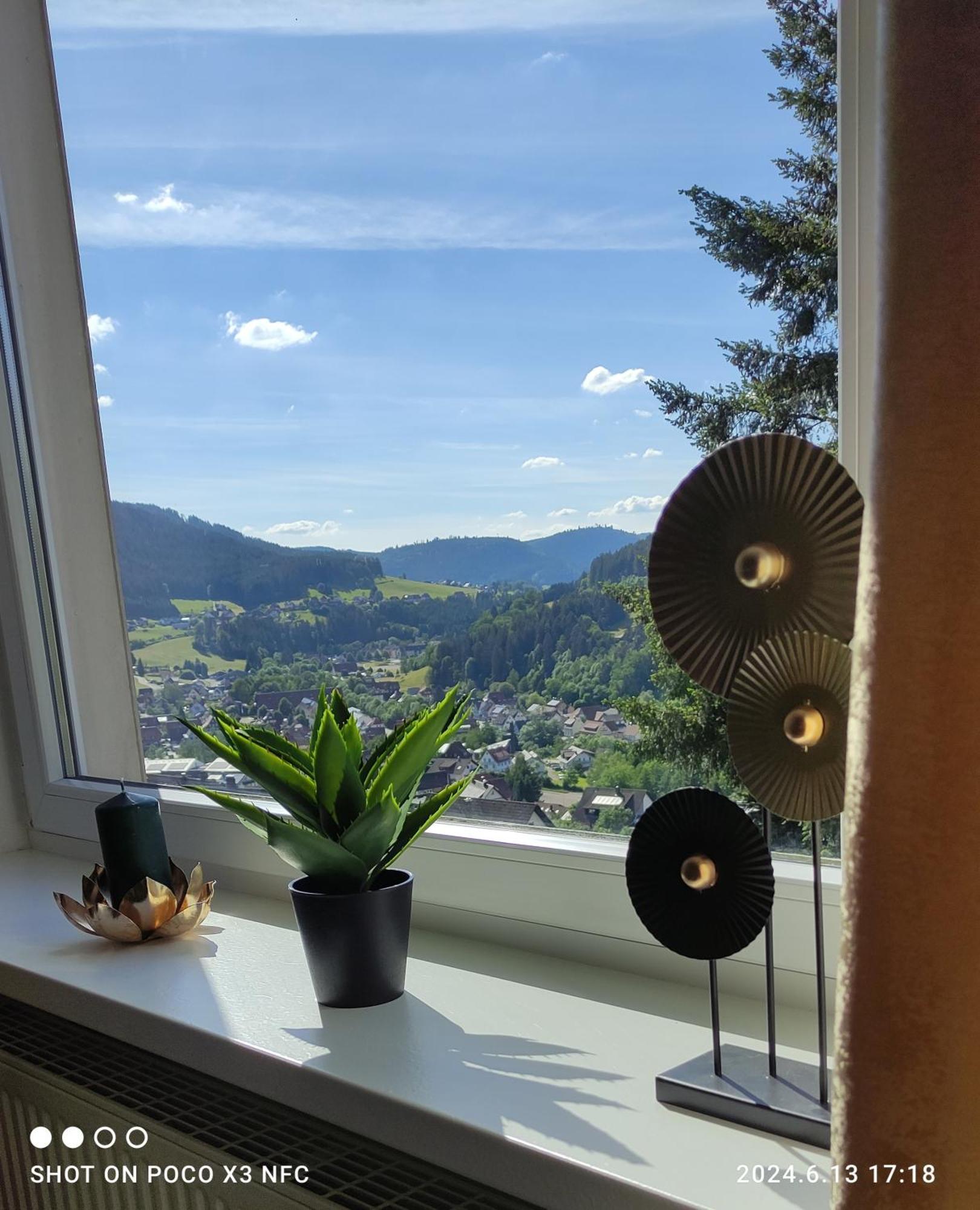 Traumblick Fewo Mit Pool Baiersbronn Buitenkant foto