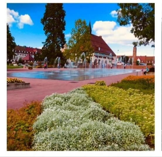 Traumblick Fewo Mit Pool Baiersbronn Buitenkant foto