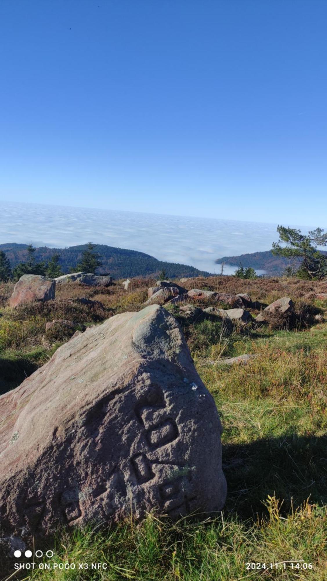 Traumblick Fewo Mit Pool Baiersbronn Buitenkant foto